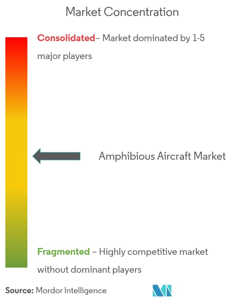 Amphibious Aircraft Market Concentration